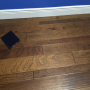 Irish Channel 5" Erato Hickory 32.81sf
