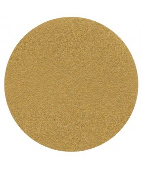 5" 180 GRIT HOOKII PAPER DISC