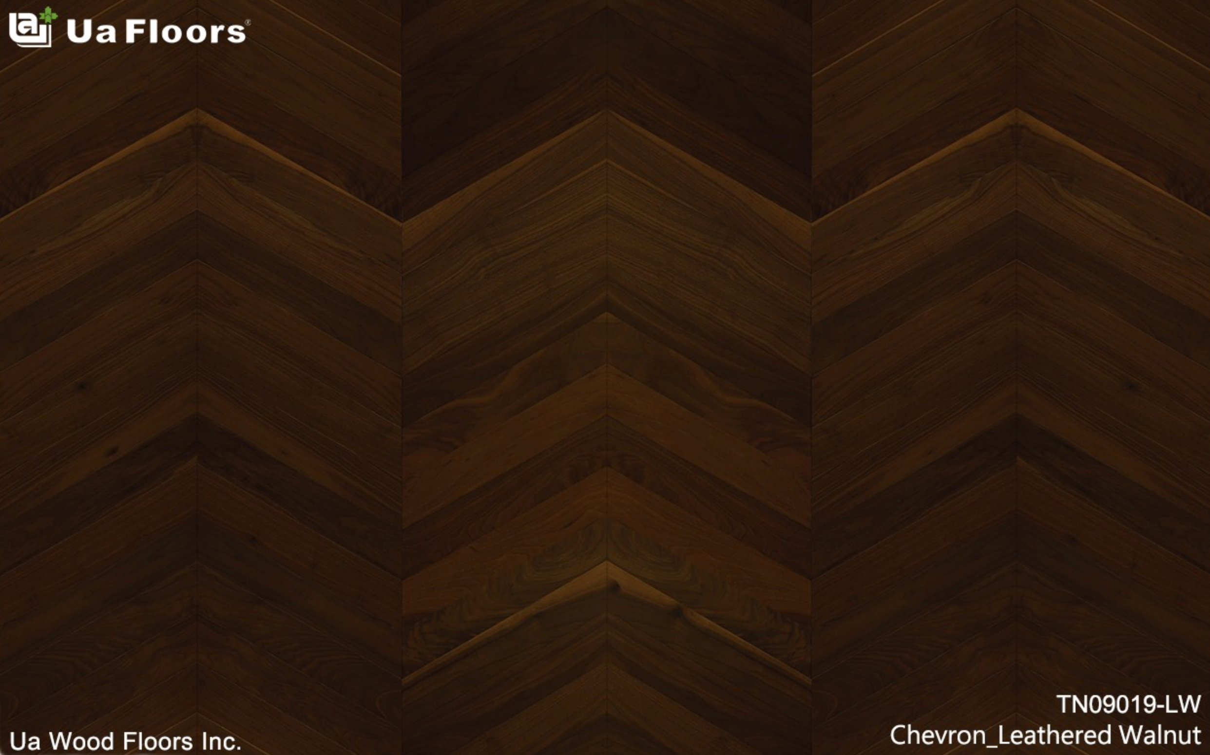 Chevron Leathered Walnut 16.74SF