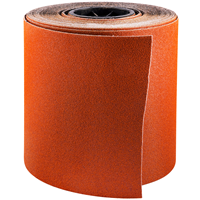 BLAZE 24 GT 12" X 25 YD ROLL