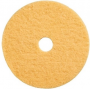 17" CHAMPAGNE PAD