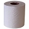 4.3" X 3.5" 2 PLY BATH TISSUE