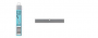 FLOOR STRIPPER BLADE ( 10 PK )